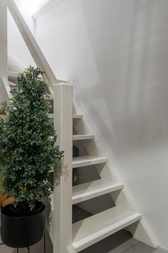 Bianco Diverso Suites - image 4