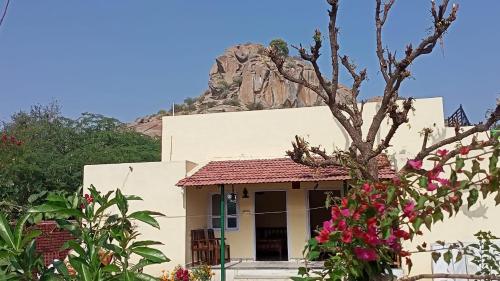 Jawai Balwant villas