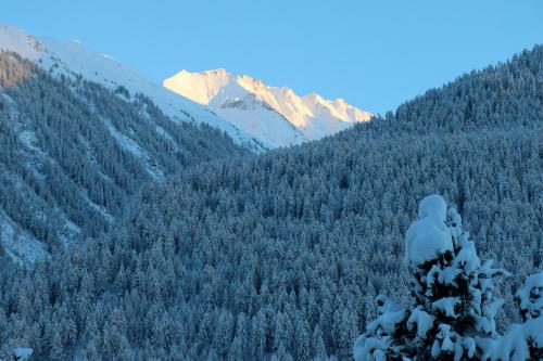 Hotel Blinnenhorn - image 7