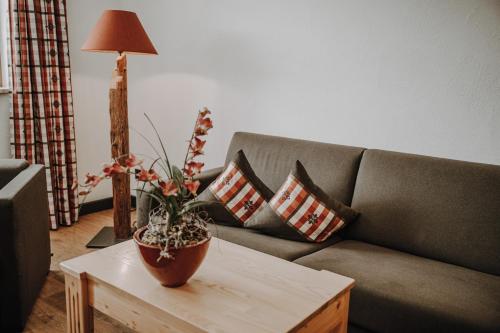 Alpe Dornach - image 11