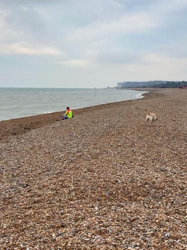 Sea Salt Cottage - Mins to beach & shops Dog Friendly