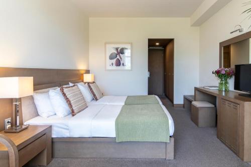 Amalia Hotel - image 14