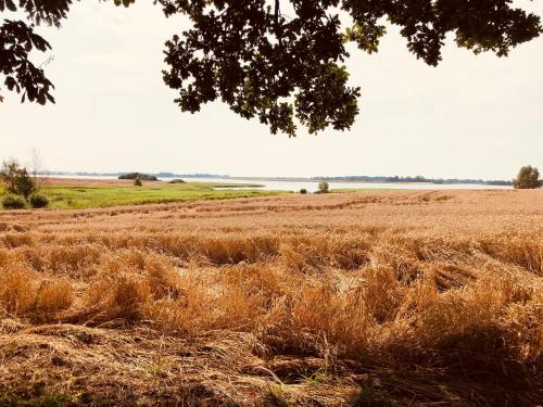 Ferienwohnung Zur Schoritzer Wiek Ferienwohnung Zur Schoritzer Wiek