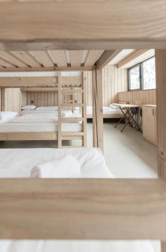 Single Bed in 10-Bed Dormitory Room