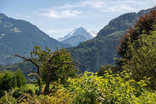 Beautiful natural surroundings