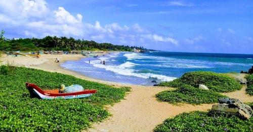 NT Beach Resort
