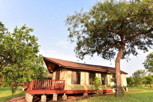 Elephant Rock Luxury Camp Tarangire