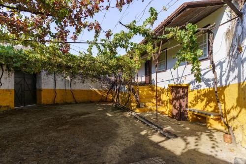 Quinta de Villa Franca - Douro