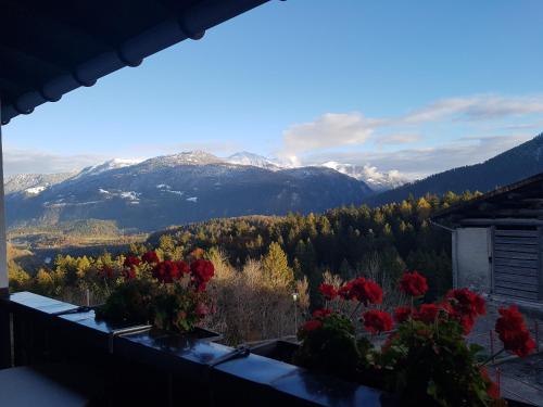 A környék, Casa Crap in Trin-Digg