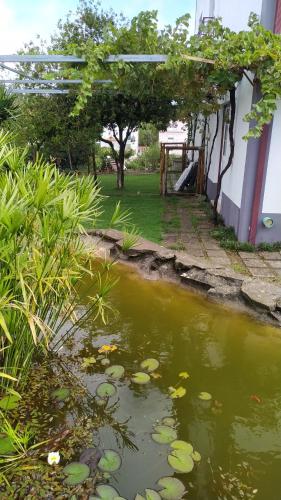 Casa do Lago, Vila de Rei