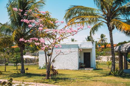 Quintal de Areias