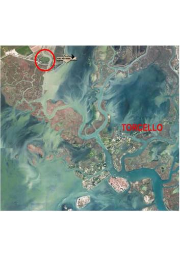 Agriturismo Venice Photobirding gîte à louer National Archaeology Museum of Altino