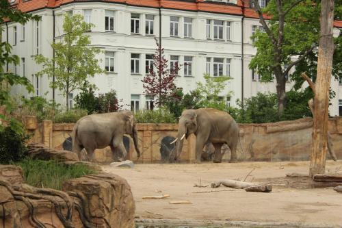 Große Wohnung im Neu-Seen-Land Leipzig in Markkleeberg