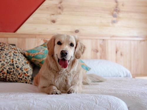 Double Room - Attic