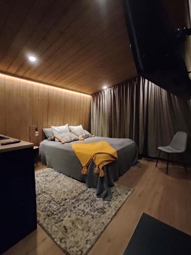 Superior Twin Room with Sauna