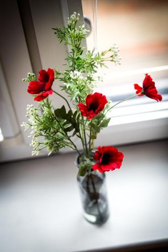 Chinatown Birmingham Apartments - image 3