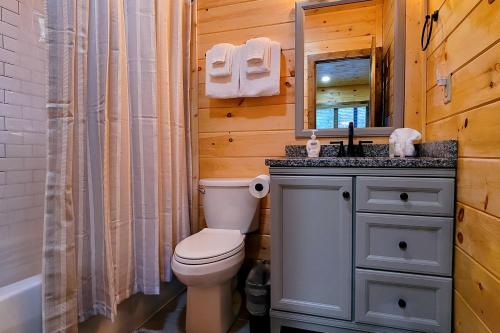 Soaky Bear in Sevierville, USA