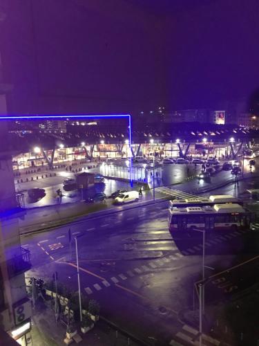 International Garibaldi