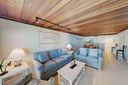 Seagull #301 - main image