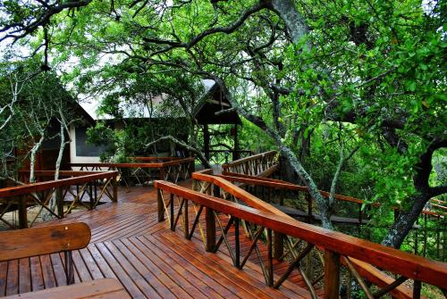 Lion Tree Top Lodge Room Type - Leopard 2 Tree Top Tent