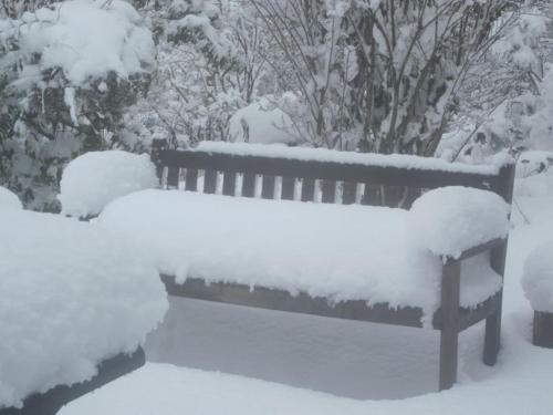 Chambres au calme en Ardenne in Fauvillers