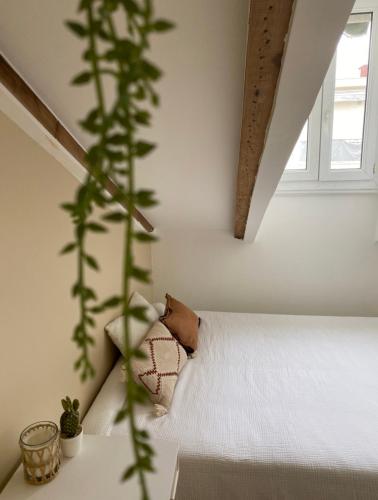 Lovely 1 Bedroom Apartment - Heart of Nice, Nice (fotografie 10)
