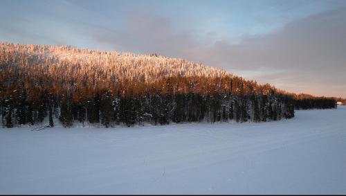 Villa Immeljärvi - image 13