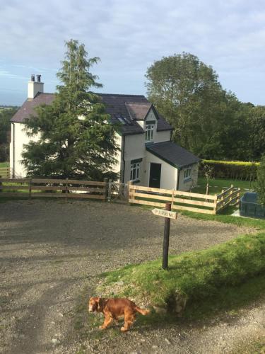 Charming 3-Bed House in Abergele Wales UK