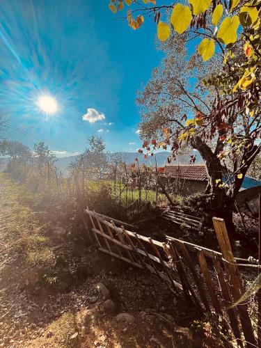 The house in the village The house in the village