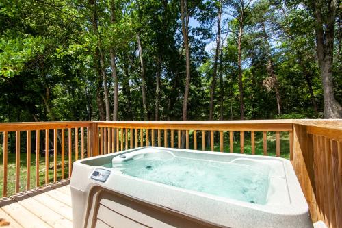 Bearly Out of Bounds - main image