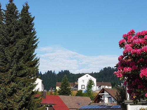 Ferienwohnung Kußmaul