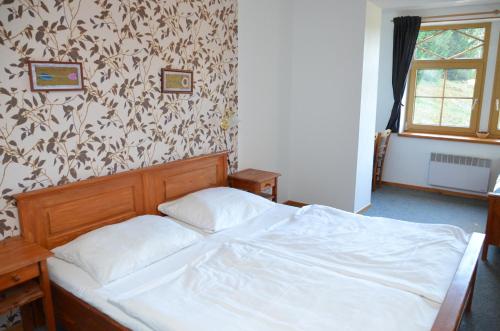 Hotel Modrava - main image
