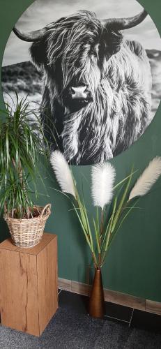 Bed and Breakfast Gasteren - image 4