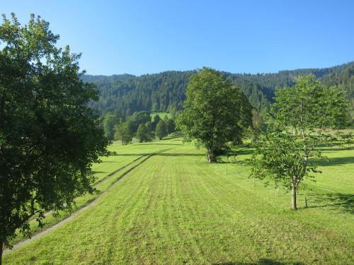 Ferienwohnungen Marchanger