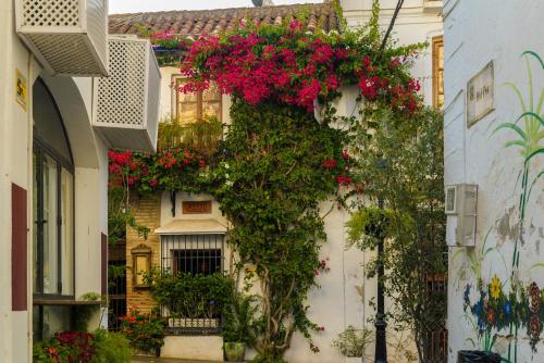 Pension Aduar, Marbella