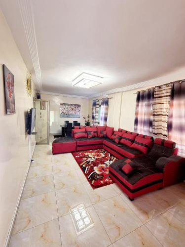 GRAND APPARTEMENT Joli SPACIEUX et Aere