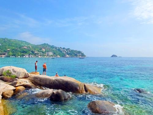 Room in Bungalow - Peaceful seaview bungalow Koh Tao Snorkeling and relaxing paradise Sharkbay