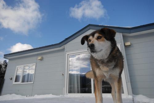 Tarochanchi - Monbetsu