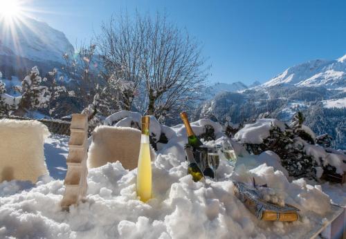 Chalet Sonneck - image 9