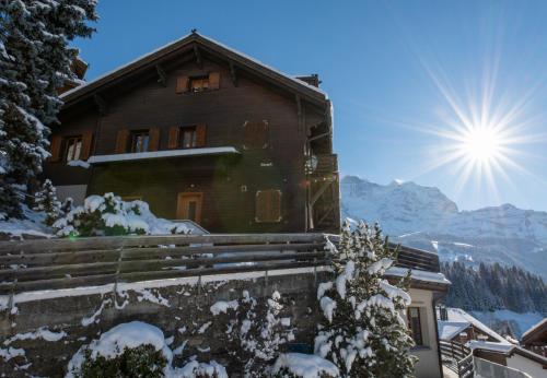 Chalet Sonneck - image 11
