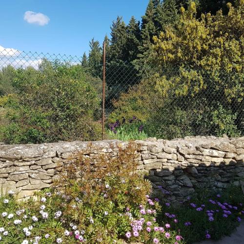 Le Domaine d'Alèzen - image 12