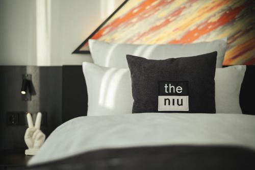 the niu Flash Over view