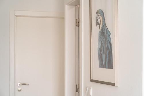 Akicity Ajuda Ciel - image 28