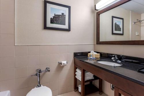 Comfort Inn Syosset-Long Island