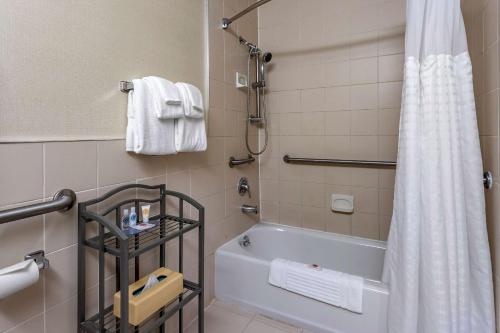 Comfort Inn Syosset-Long Island