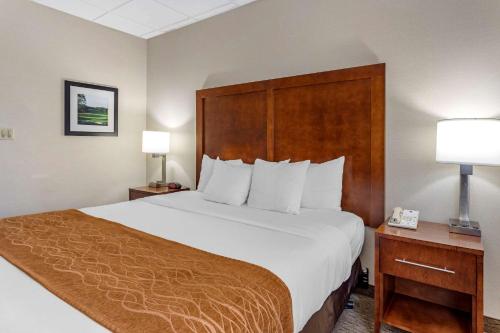 Comfort Inn Syosset-Long Island