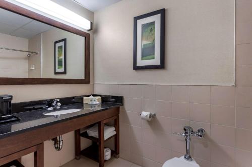 Comfort Inn Syosset-Long Island