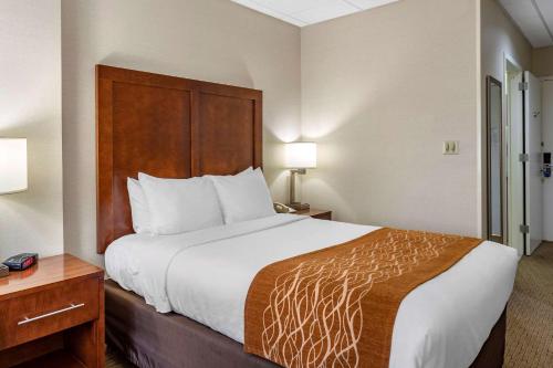 Comfort Inn Syosset-Long Island - image 12