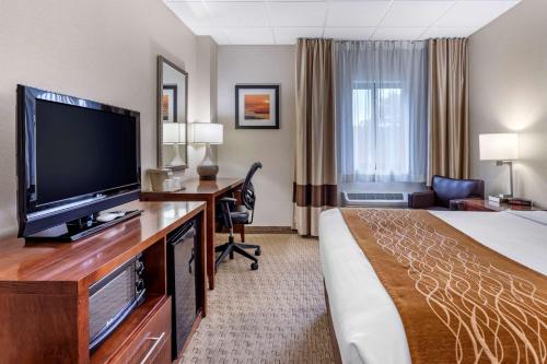 Comfort Inn Syosset-Long Island - image 14