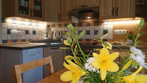 Apartments Na Vasi - Bohinj